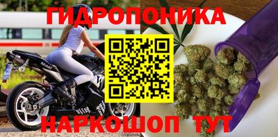 эйфоретик Коммунар