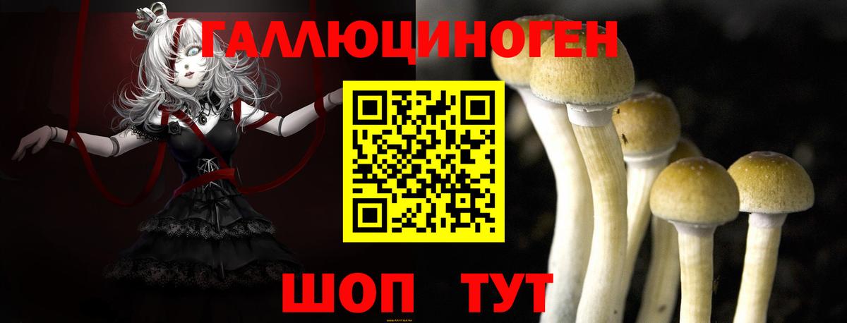 Псилоцибиновые грибы мухоморы  Вход с VPN  Валуйки  Галлюциногенные грибы мухоморы 
